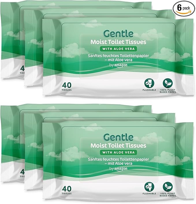 Gentle Moist Toilet Tissues with Aloe Vera, Flushable, 240 Count (6 Packs of 40 sheets) (Previously Presto!)